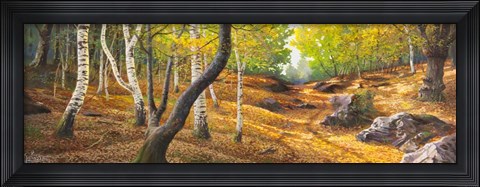 Framed Sentiero nel Bosco Print