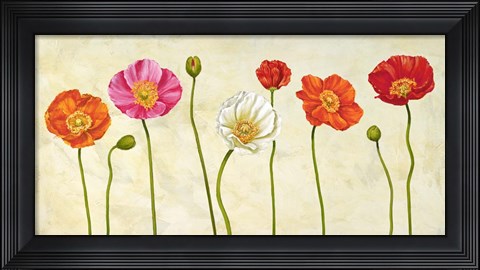 Framed Coquelicots Print