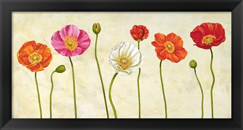 Framed Coquelicots Print