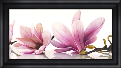 Framed Magnolia Print