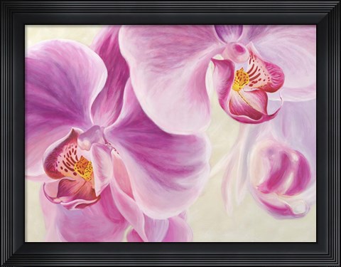 Framed Purple Orchids Print