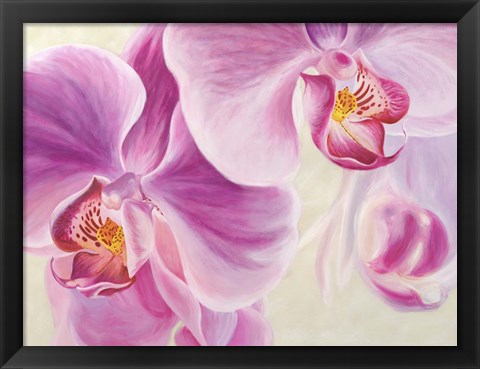 Framed Purple Orchids Print