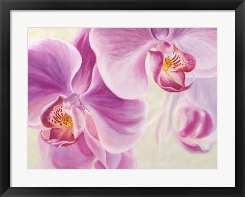 Framed Purple Orchids Print