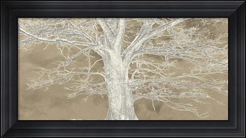 Framed White Oak Print