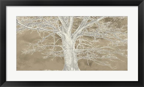 Framed White Oak Print