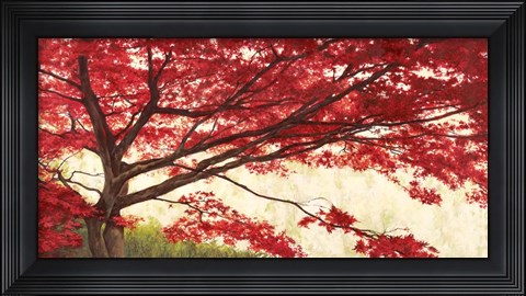 Framed Acero Print