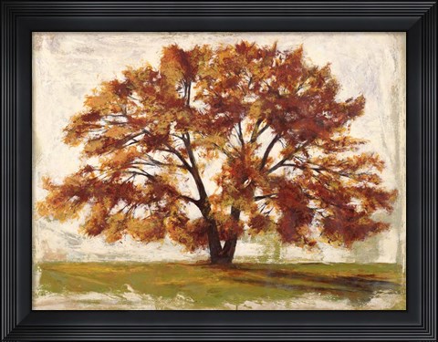 Framed Mattino Print