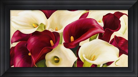 Framed Calla Composition Print
