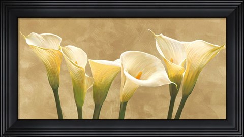 Framed Calle Bianche Print