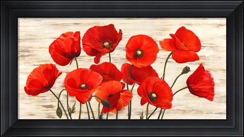 Framed French Poppies Print