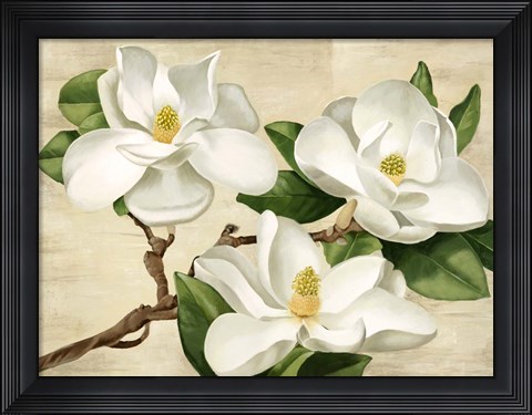 Framed Magnolie Bianche Print