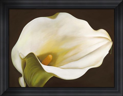 Framed Calla Print