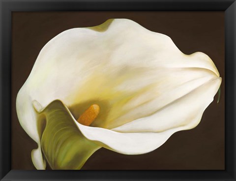 Framed Calla Print