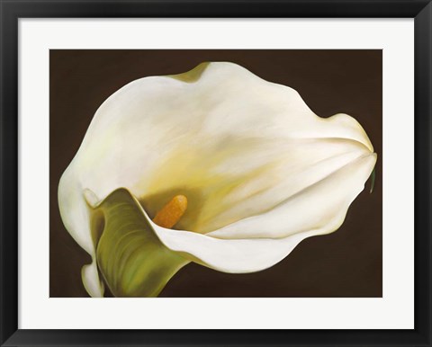 Framed Calla Print