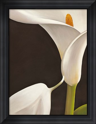 Framed Calla Moderna I Print
