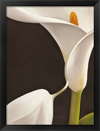 Framed Calla Moderna I Print