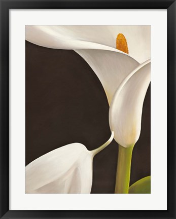 Framed Calla Moderna I Print