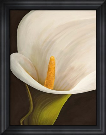 Framed Calla Moderna II Print