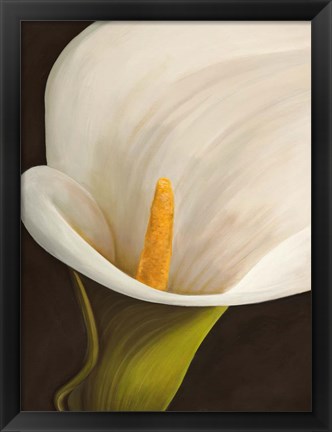 Framed Calla Moderna II Print