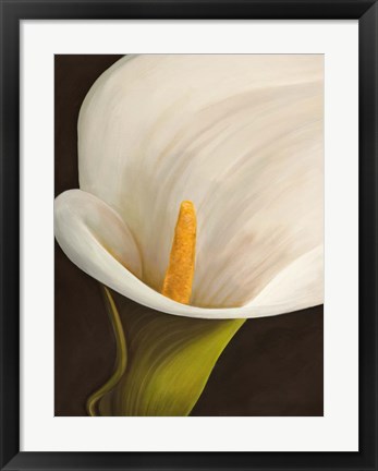 Framed Calla Moderna II Print