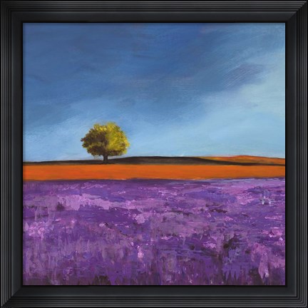Framed Field of Lavender (Detail) Print