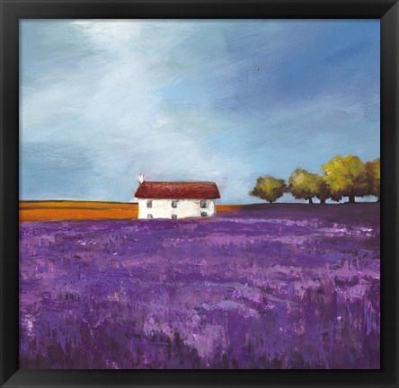 Framed Field of Lavender I Print