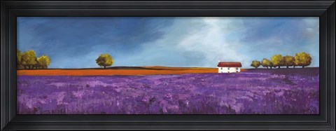 Framed Field of Lavender II Print