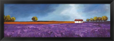 Framed Field of Lavender II Print