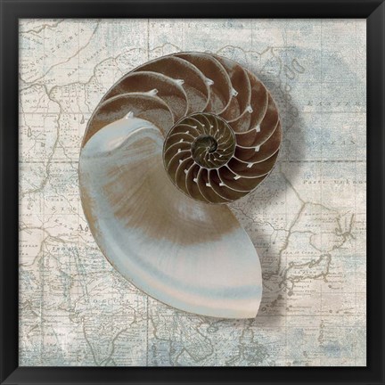 Framed Nautilus Print