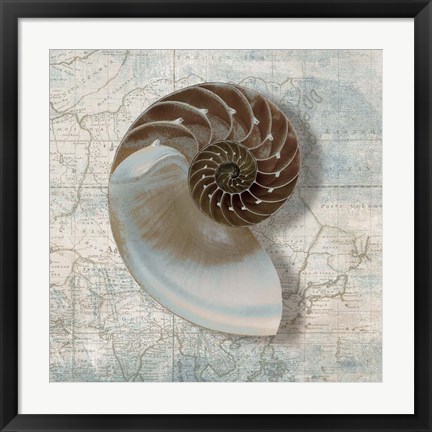 Framed Nautilus Print