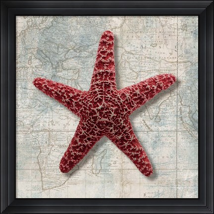 Framed Starfish Print