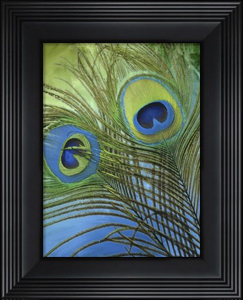 Framed Peacock Candy I Print