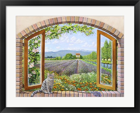 Framed Finestra in Provenza Print