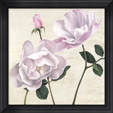 Framed Classica II Print