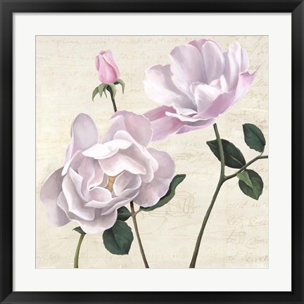 Framed Classica II Print