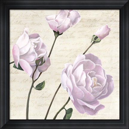 Framed Classica III Print