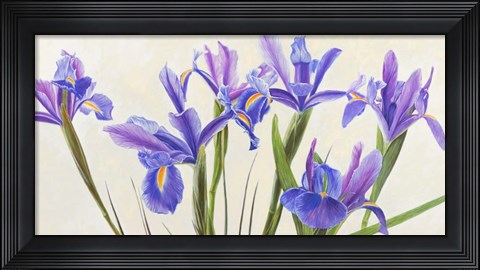 Framed Iris Print