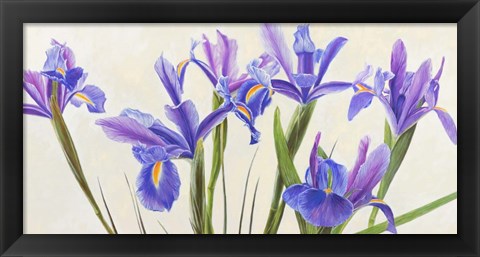 Framed Iris Print