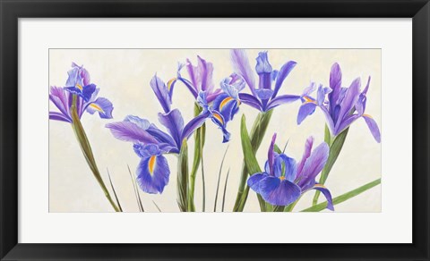 Framed Iris Print