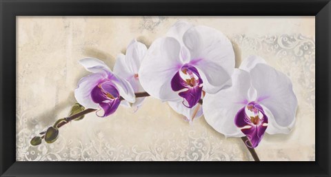 Framed Royal Orchid Print