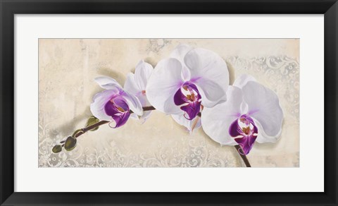 Framed Royal Orchid Print