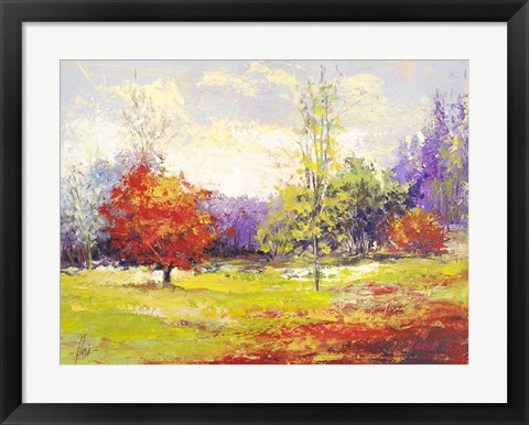 Framed Colori d&#39;Autunno Print