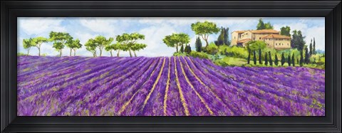 Framed Campagna Provenzale Print