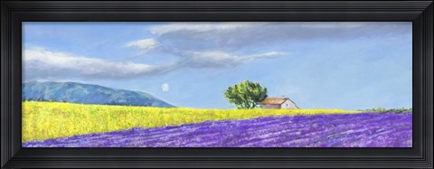 Framed Campi di Lavanda Print