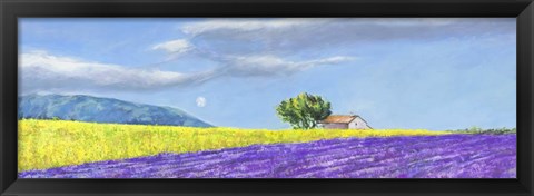 Framed Campi di Lavanda Print