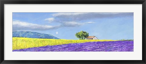 Framed Campi di Lavanda Print