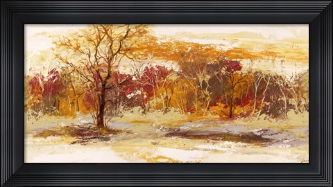Framed Foresta II Print