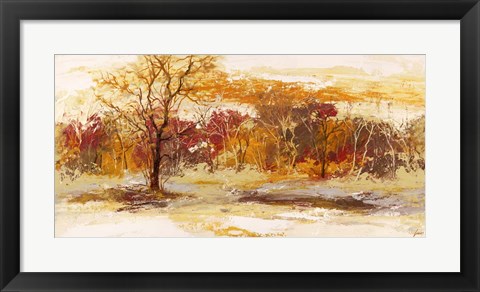 Framed Foresta II Print