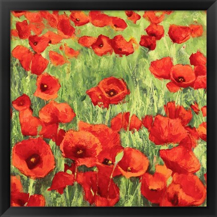 Framed Poppies Print