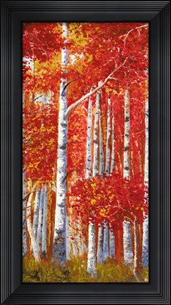 Framed Betulle II Print